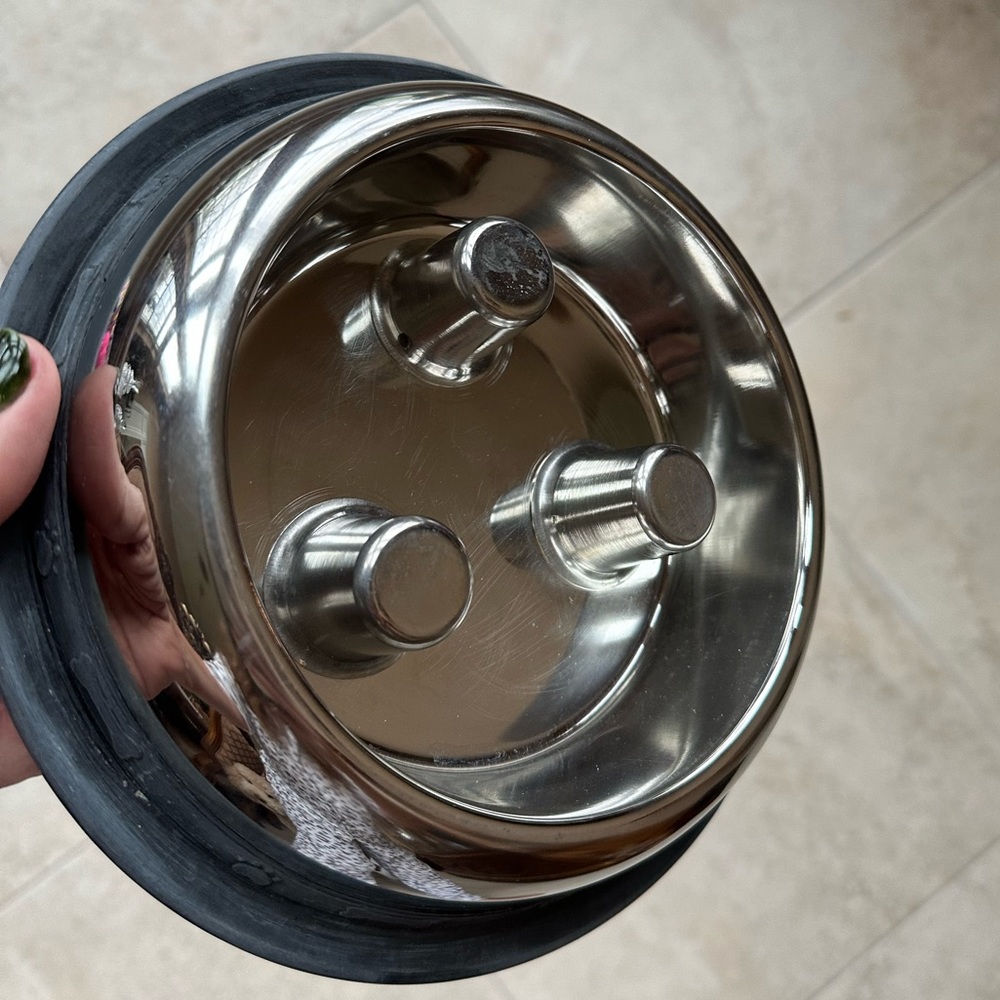 QT Dog Stainless Steel Brake-Fast dog bowl The healthy choice for dogs